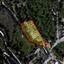 land for sale agios georgios silikou limassol 1735440 thumbnail 5714421