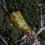 land for sale agios georgios silikou limassol 1735440 thumbnail 5714422