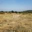 land for sale pachna limassol 1159440 thumbnail 14456032