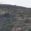 land for sale praitori paphos 1721440 thumbnail 15597469