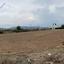 plot for sale coral bay paphos 1898440 thumbnail 14216128