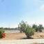 plot for sale ypsonas limassol 8863440 thumbnail 17167191
