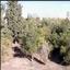 studio apartment building for sale faneromeni larnaca 8664440 thumbnail 15989548