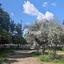 3 bedroom penthouse for sale strovolos nicosia 8605540 thumbnail 15763485