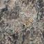 land for sale agrokipia nicosia 8374540 thumbnail 16700658