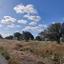 land for sale latsia nicosia 8726540 thumbnail 16331873