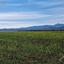 land for sale peristerona lefkosias nicosia 8244540 thumbnail 13833602