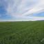 land for sale peristerona lefkosias nicosia 8244540 thumbnail 13833603