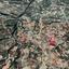 land for sale theletra paphos 853540 thumbnail 15600470