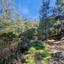 6857 SQM Land for sale in Pelendri, Limassol thumbnail 15594909
