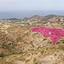 land for sale kato pyrgos nicosia 1650640 thumbnail 5674249