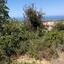 land for sale lofos tala paphos 939640 thumbnail 835605