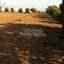 plot for sale maroni larnaca 7991640 thumbnail 12102076