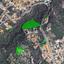 plot under offer mesa chorio paphos 1057640 thumbnail 13635749