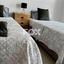 3 bedroom detached house for sale peyia paphos 1397740 thumbnail 5609401