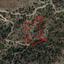 8362 SQM Land for sale in Sykopetra, Limassol thumbnail 5569973
