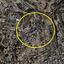 plot for sale agia fyla limassol 1735740 thumbnail 14937948