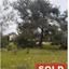 plot sold souni zanakia limassol 1746740 thumbnail 4776617