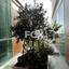 studio office for sale mesa gitonia limassol 1263740 thumbnail 5581382
