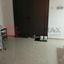3 bedroom bungalow for sale agioi anargyroi larnaca 8512840 thumbnail 15375730
