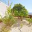 5 bedroom detached house for sale peyia paphos 8529840 thumbnail 15457728