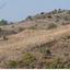 land for sale statos agios fotios paphos 1707840 thumbnail 15597526