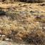 plot for sale germasogeia limassol 1924840 thumbnail 13695461
