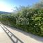 4 bedroom detached house for rent agios dometios nicosia 1358940 thumbnail 10491773