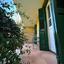 4 bedroom detached house for sale agios andreas nicosia nicosia 8412940 thumbnail 16528331