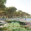 studio building for sale livadia larnacas larnaca 1896940 thumbnail 7213183