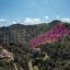 27425 SQM Land for sale in Pigenia, Nicosia thumbnail 16561014