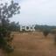 plot for sale aphrodite hills paphos 8225050 thumbnail 13762109