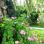 6 bedroom detached house for rent tremithousa paphos 8500150 thumbnail 15907007