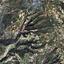 land for sale kathikas paphos 7806150 thumbnail 15596588