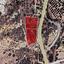 land for sale psematismenos larnaca 1245150 thumbnail 5615952