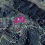 land for sale vavla larnaca 7872150 thumbnail 11384297