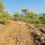 plot for sale kornos larnaca 1353150 thumbnail 5600611