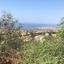plot for sale tala paphos 719150 thumbnail 590093