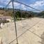 3 bedroom bungalow for sale armou paphos 8959350 thumbnail 17780775
