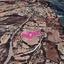 land for sale vavla larnaca 7872350 thumbnail 15714549