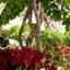 studio office for rent panthea limassol 8759350 thumbnail 16536973