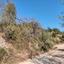 372 SQM Land for sale in Agios Therapon, Limassol thumbnail 16009948