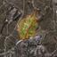 504488 SQM Land for sale in Sotira Lemesou, Limassol thumbnail 5714595