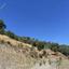 land for sale kalopanagiotis nicosia 1510450 thumbnail 7641811