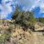 land for sale sina oros nicosia 1907450 thumbnail 7348102