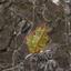 land for sale sotira lemesou limassol 1735450 thumbnail 5714592