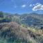 2007 SQM Land for sale in Pelendri, Limassol thumbnail 16331973