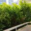 2 bedroom apartment for sale neapolis limassol 1934550 thumbnail 14557895
