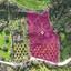plot for sale skoulli paphos 8237550 thumbnail 14230658