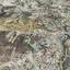 land for sale agios tychonas limassol 1258650 thumbnail 9842071